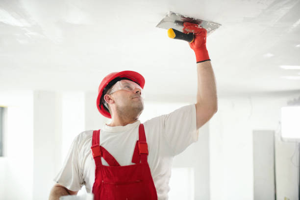 Professional Drywall and Painting Service in Wolfe City, TX